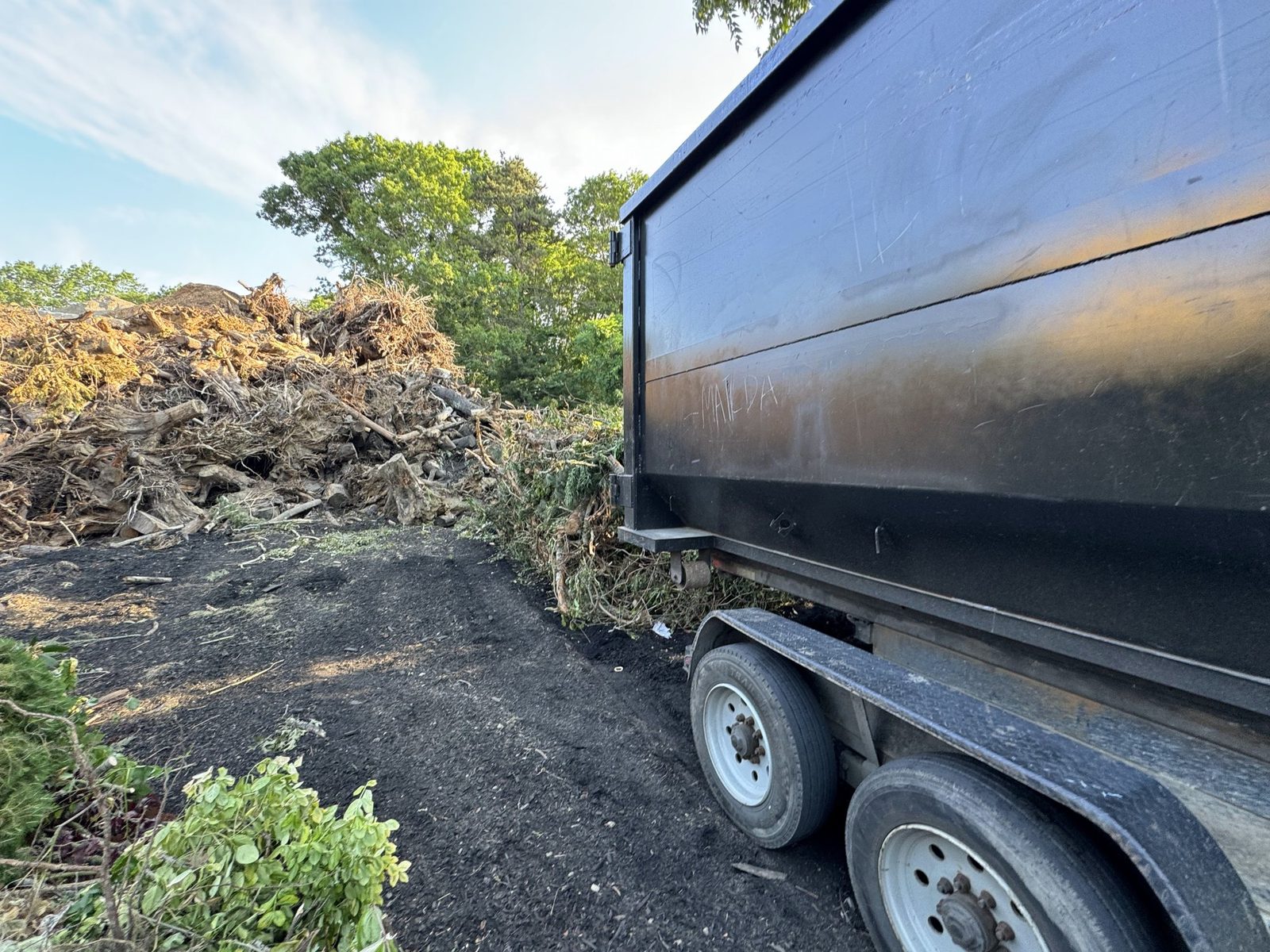 Dumpster on a trailer next to a large pile of brush, stumps and yard debris